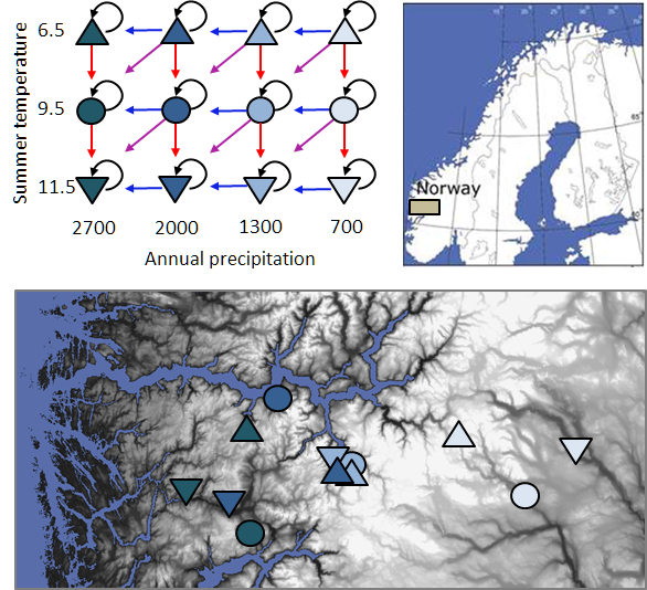 Vestland climate grid