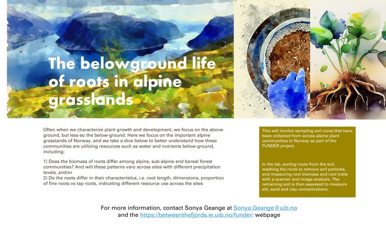 The belowground life of roots in alpine grasslands (Funder)