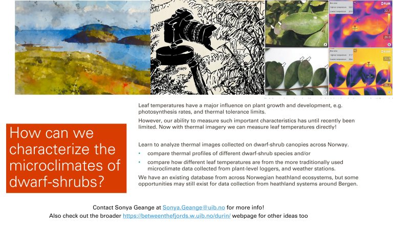 How can we characterize the microclimates of dwarf-shrubs? (Durin)