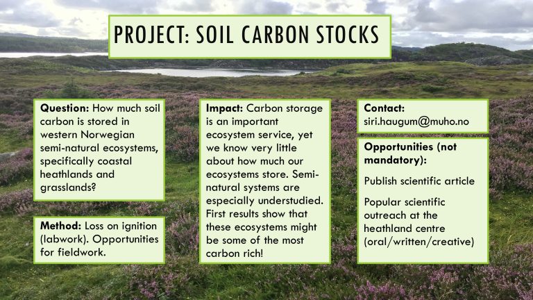 Soil carbon stocks