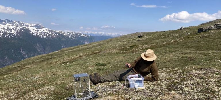 Tundra might turn from carbon sink into carbon source due to global warming