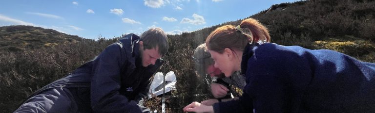 What do people really know about nature, and the biodiversity crisis?