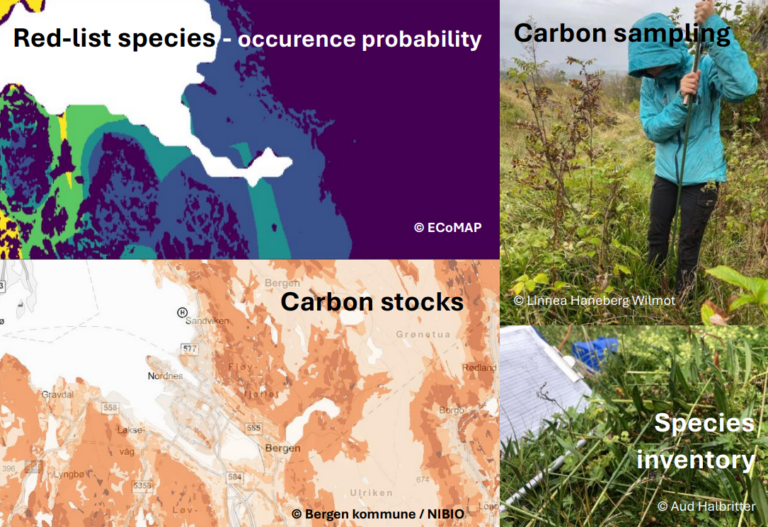 Master theses related to the projects ECOBUDGETS and ECoMAP