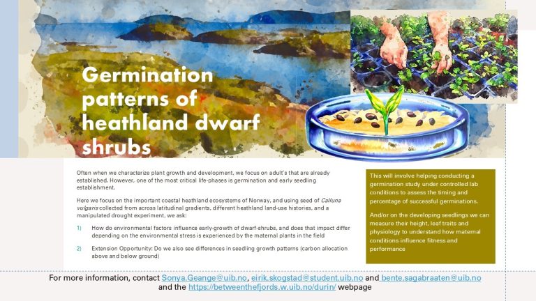 Germination patterns of heathland dwarf shrubs (Durin)