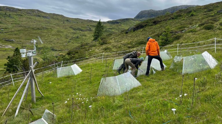 In-depth study of microclimate manipulations in a global warming ecology experiment